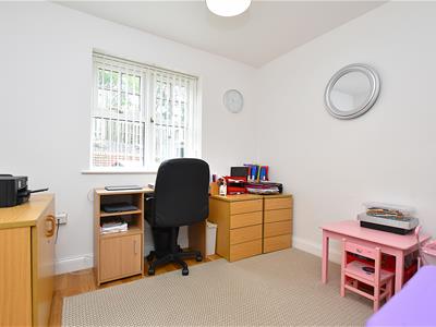 Picture 16